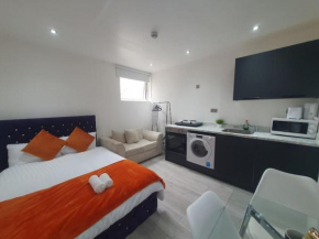 Central Studio Apartment London 6